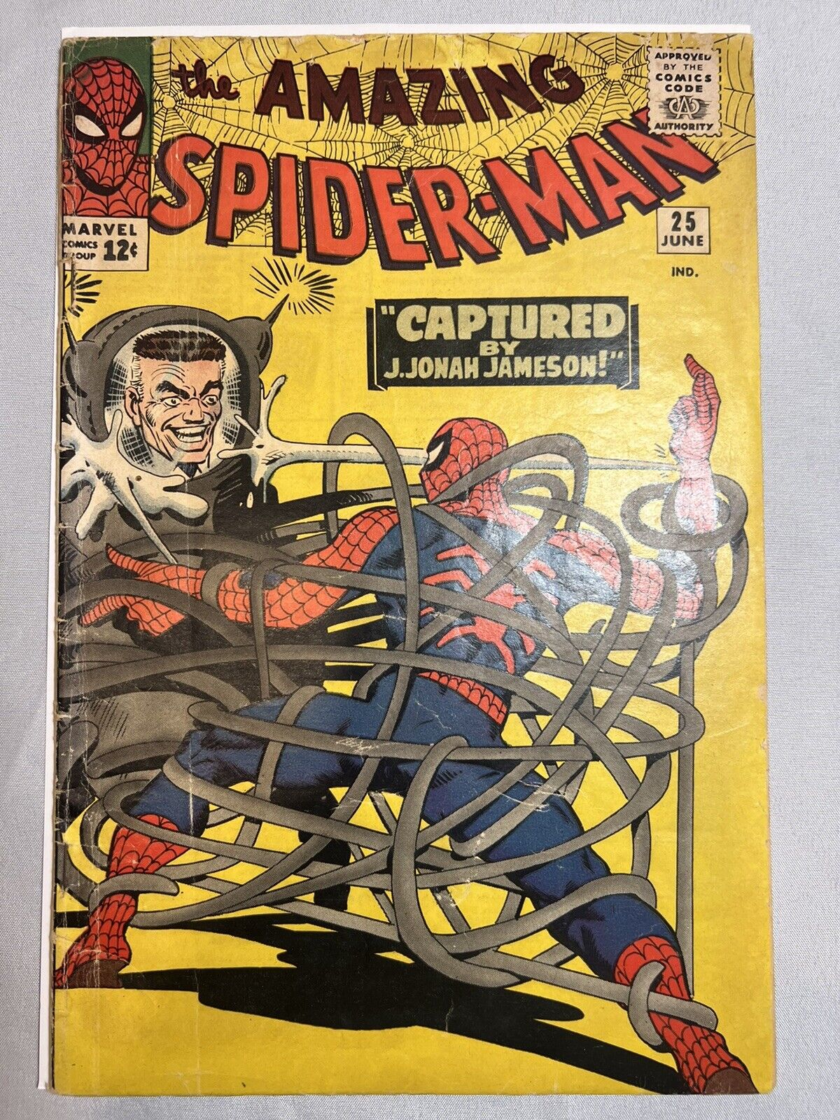 Amazing Spider-Man #25 - 1st Cameo App Mary Jane Watson - Marvel Comics 1965