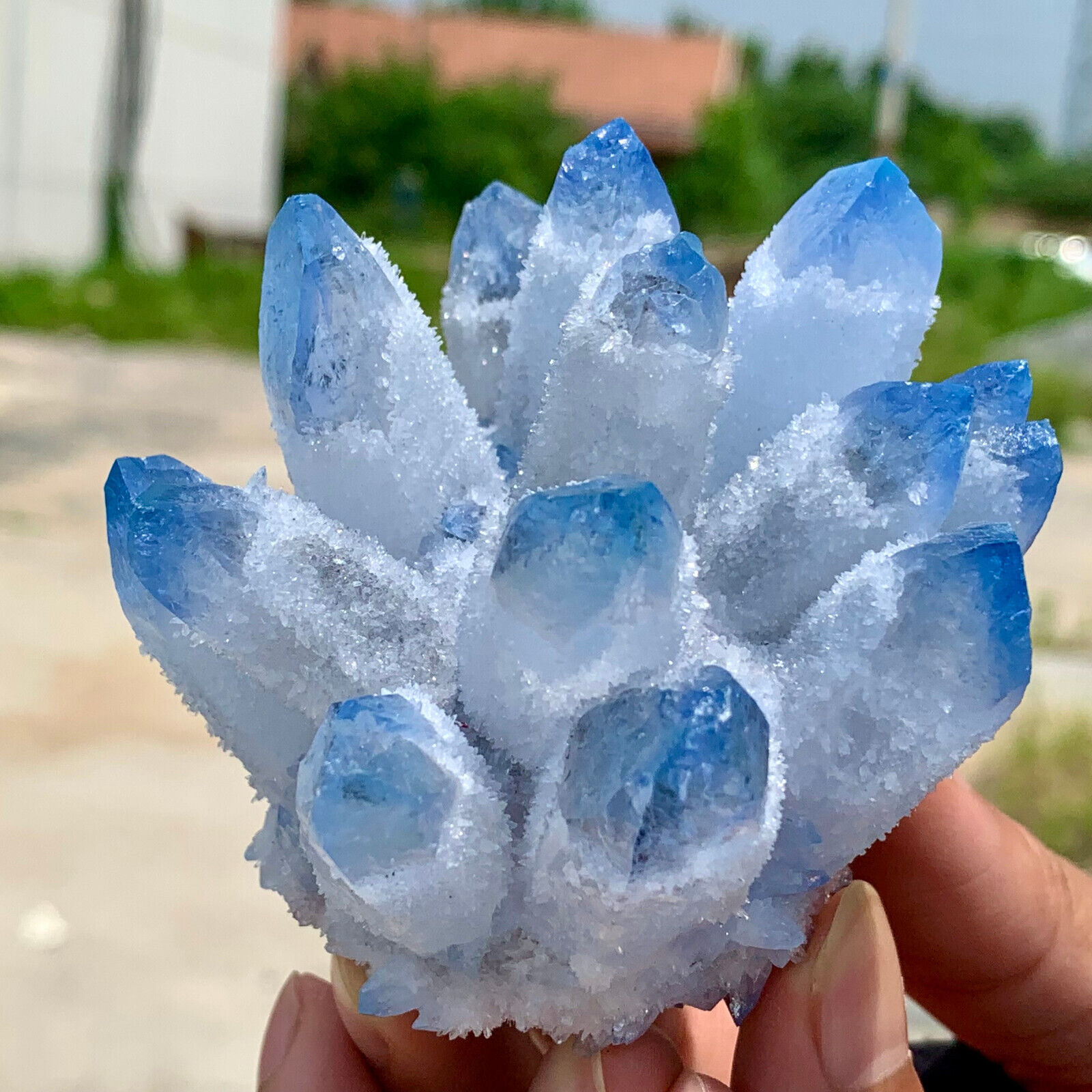 332G New Find BLUE PhantomQuartz Crystal Cluster MineralSpecimen