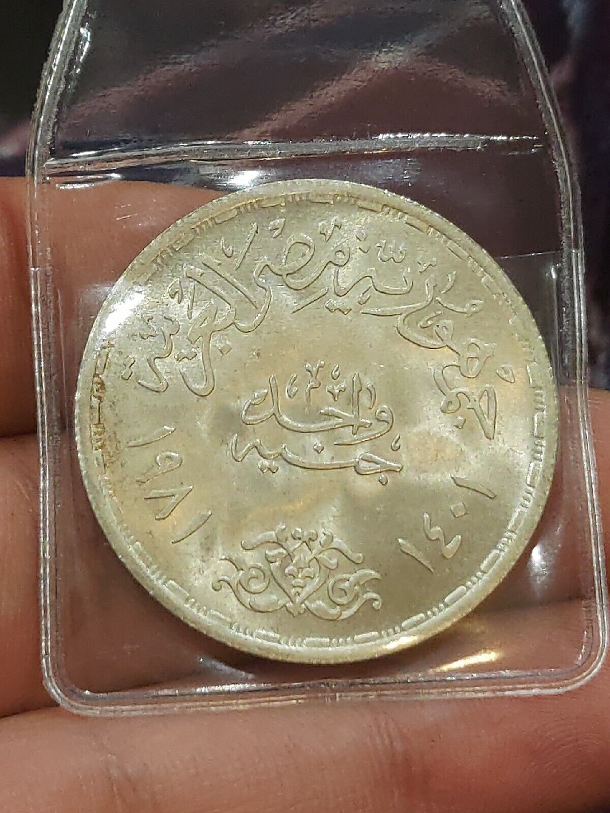 Egypt 1 Pound 1981 AH 1401 FAO World Food Day Silver 0.72 XF 15 Gr KM# 523 T101