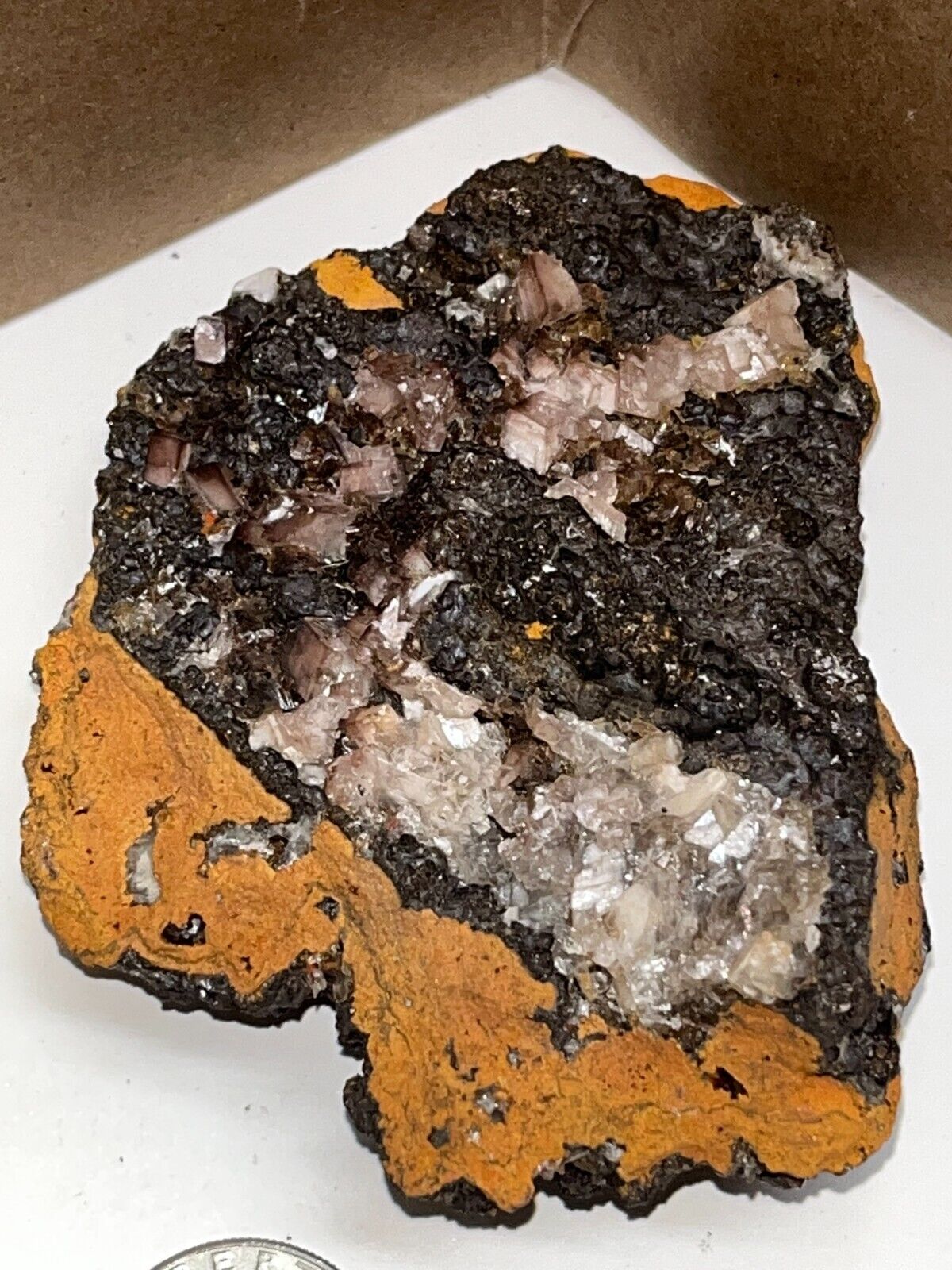 Hemimorphite on Limonite  with Varying Colored Crystals 7oz.