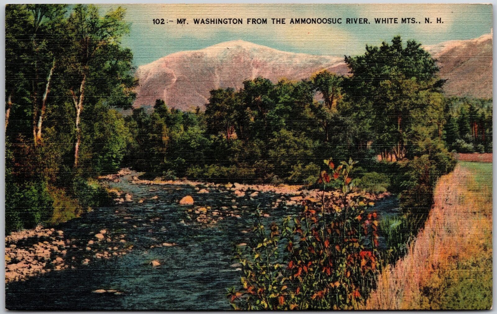 Mt. Washington Fron the Ammonoosuc River White Mountains New Hampshire Postcard