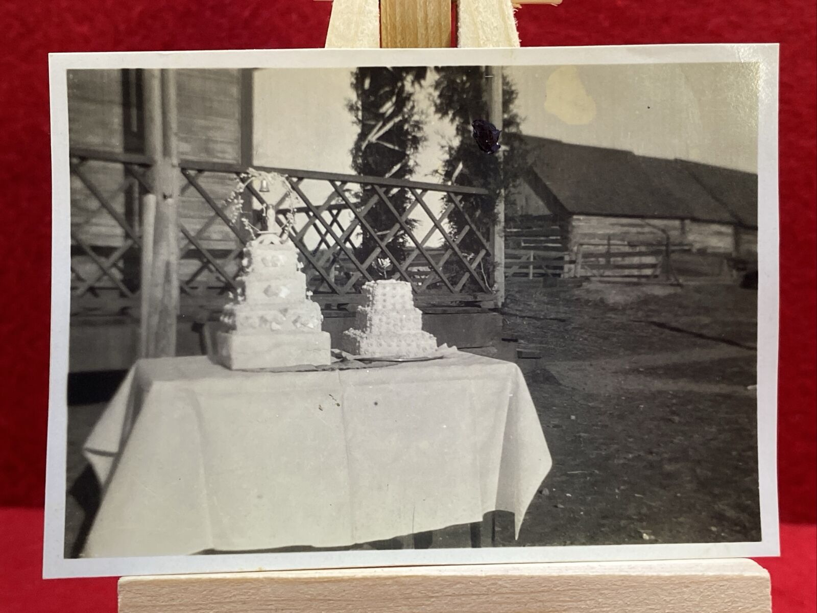 Early 1900\'s Wedding Cake Farm - Original Vintage Photograph Rare VTG OOAK Photo
