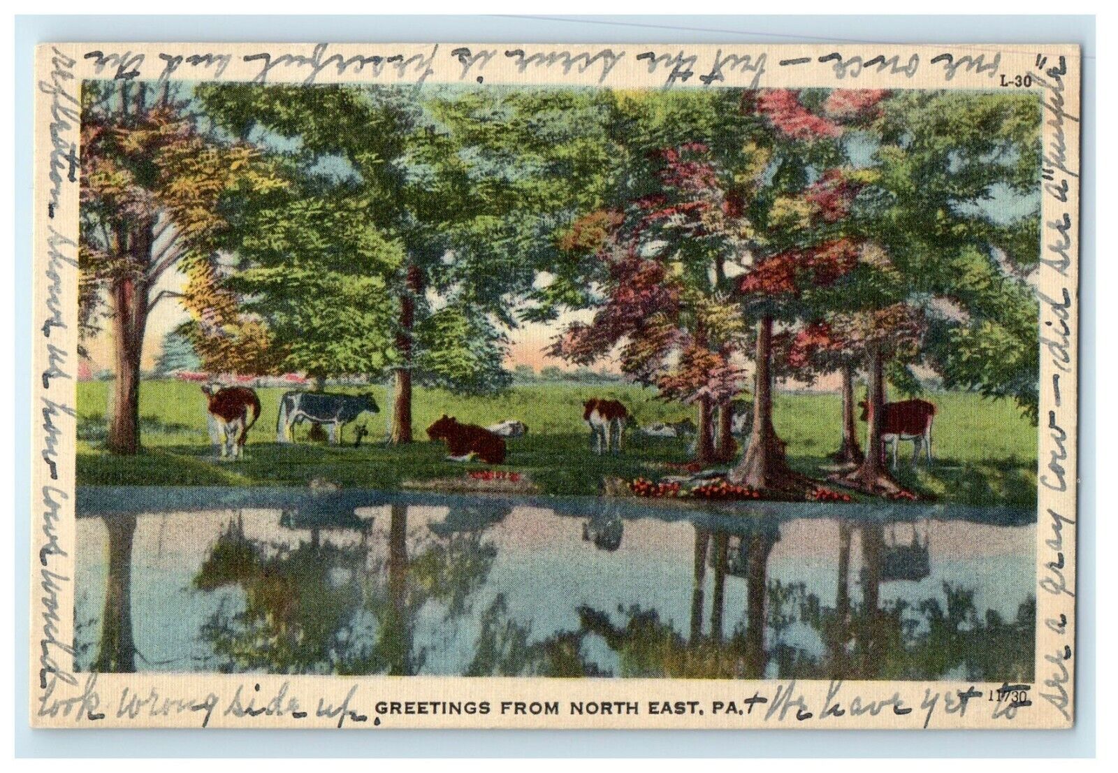 c1940's Greetings From North East Pennsylvania PA Vintage Postcard