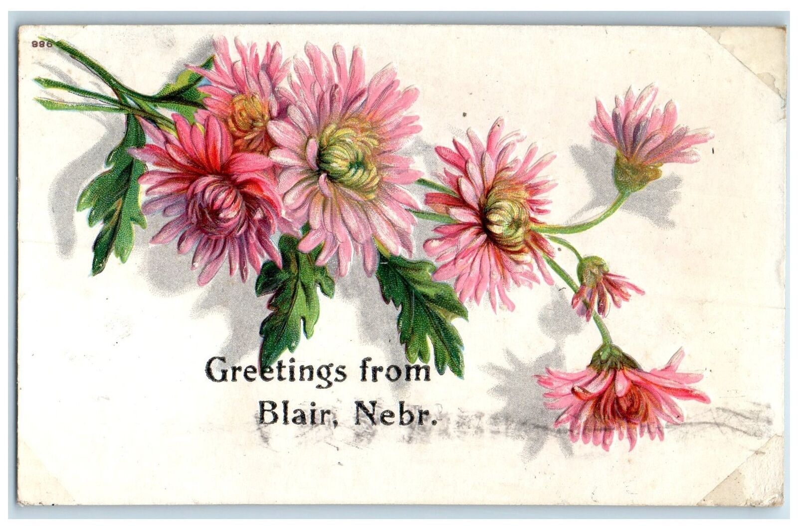 1912 Greetings From Blair Nebraska NE Posted Embossed Flowers & Leaves Postcard