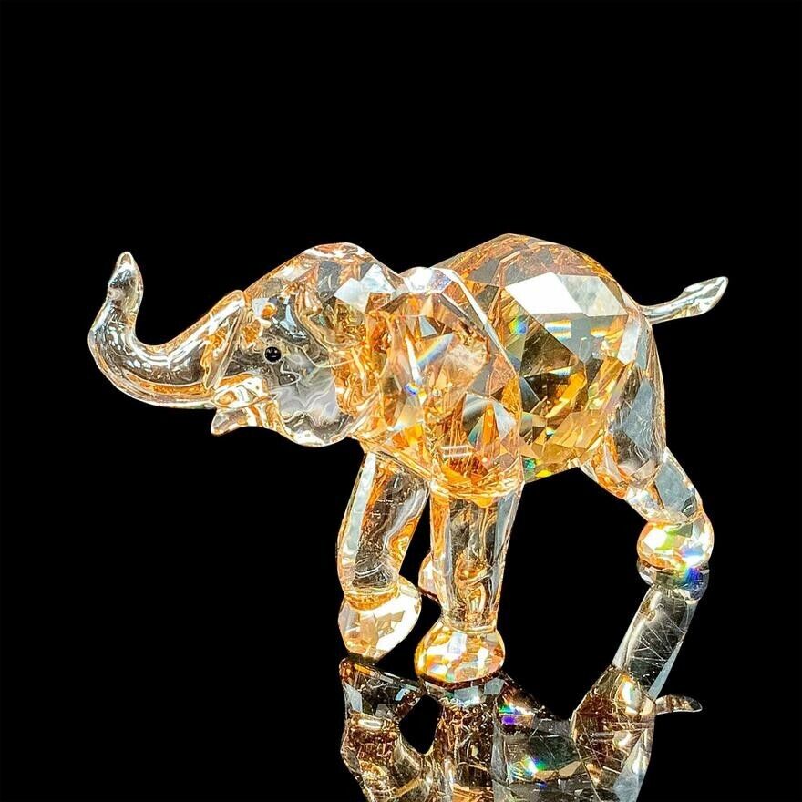 Swarovski SCS 2013 A.E. Young Elephant in Amber Crystal  #1142862 MIB
