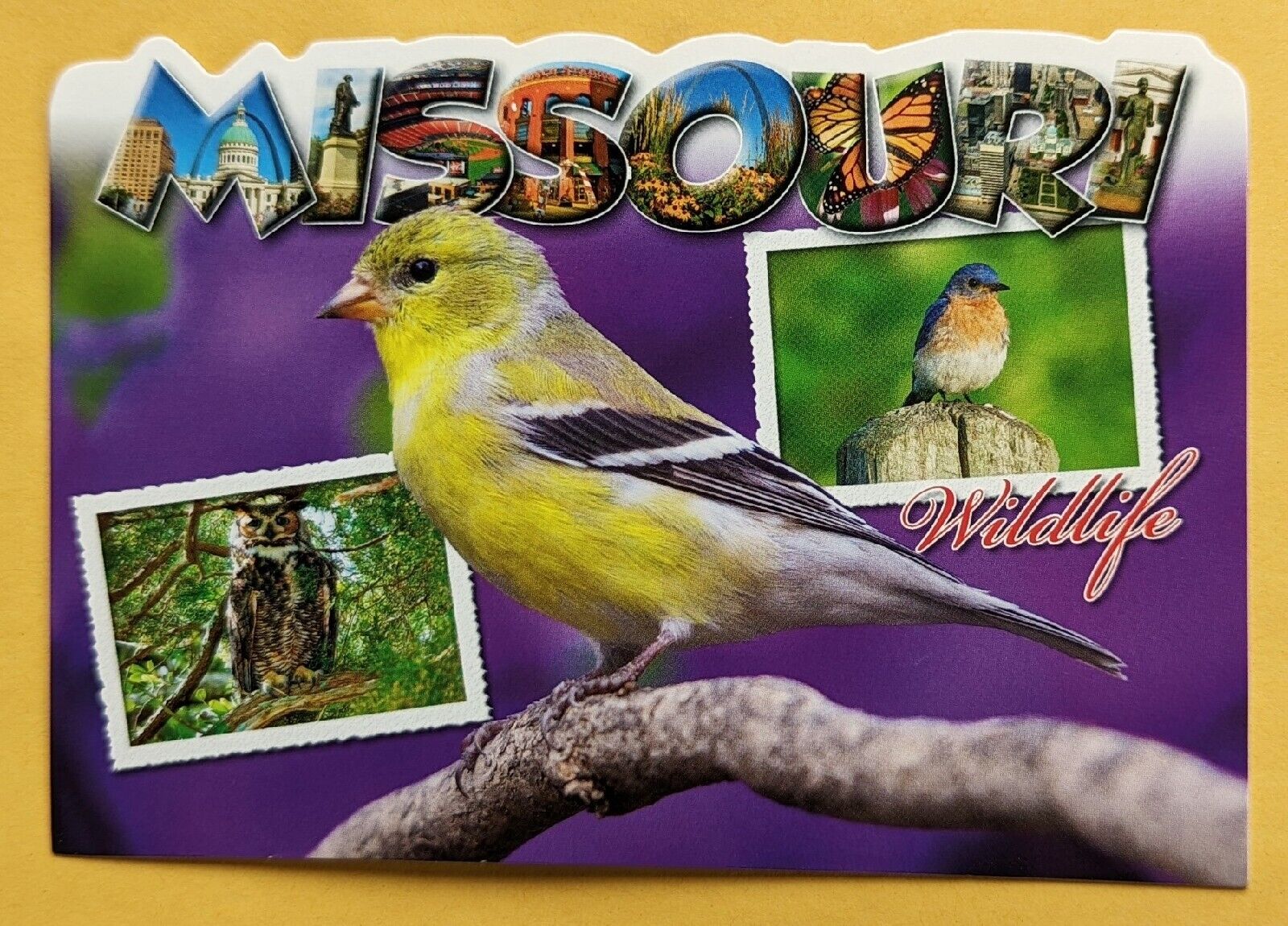 Postcard MO. Missouri wildlife 