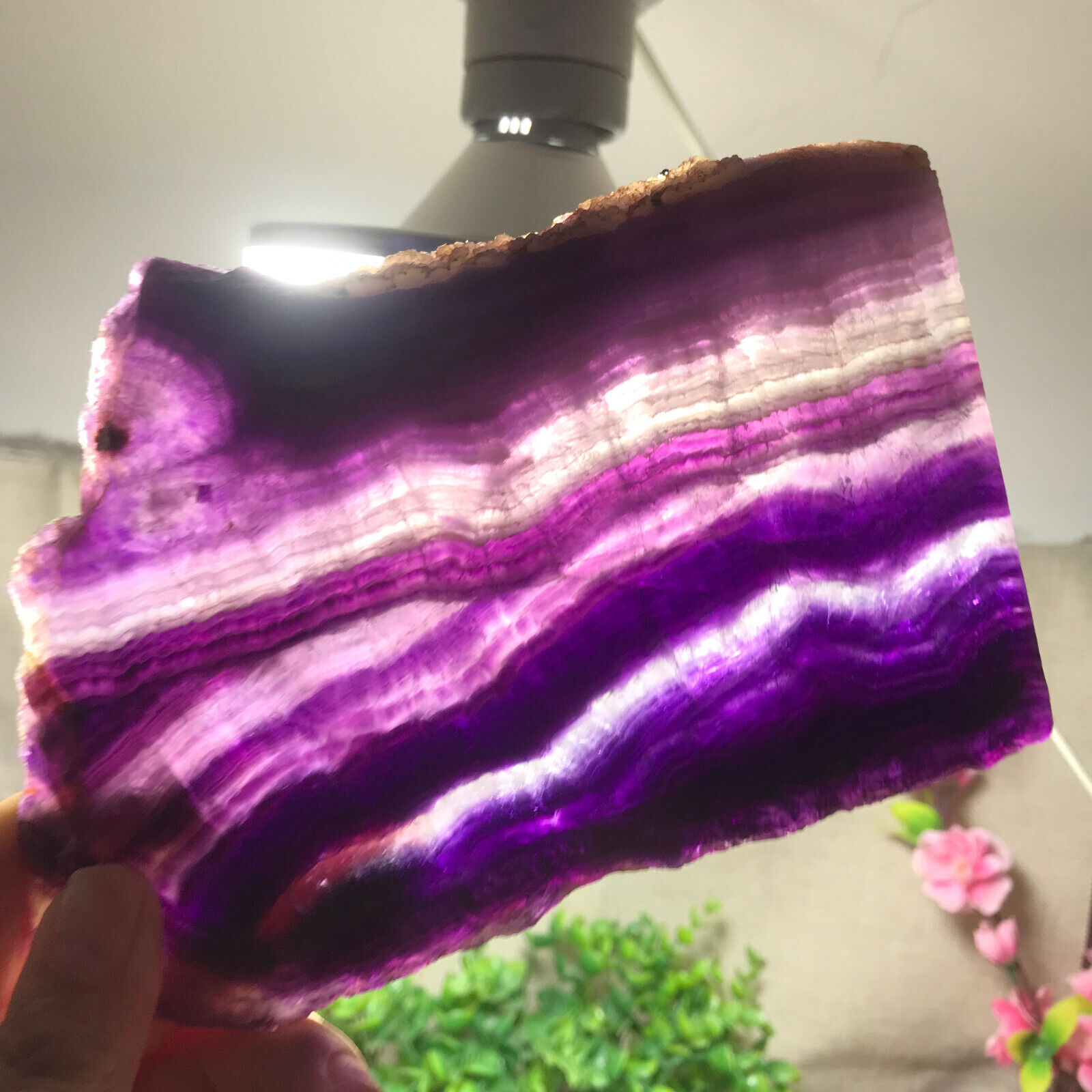 425g Stunning-Natural-Colorful-Slice-Fluorite-Crystal-Stone-purple-Fluorite 02