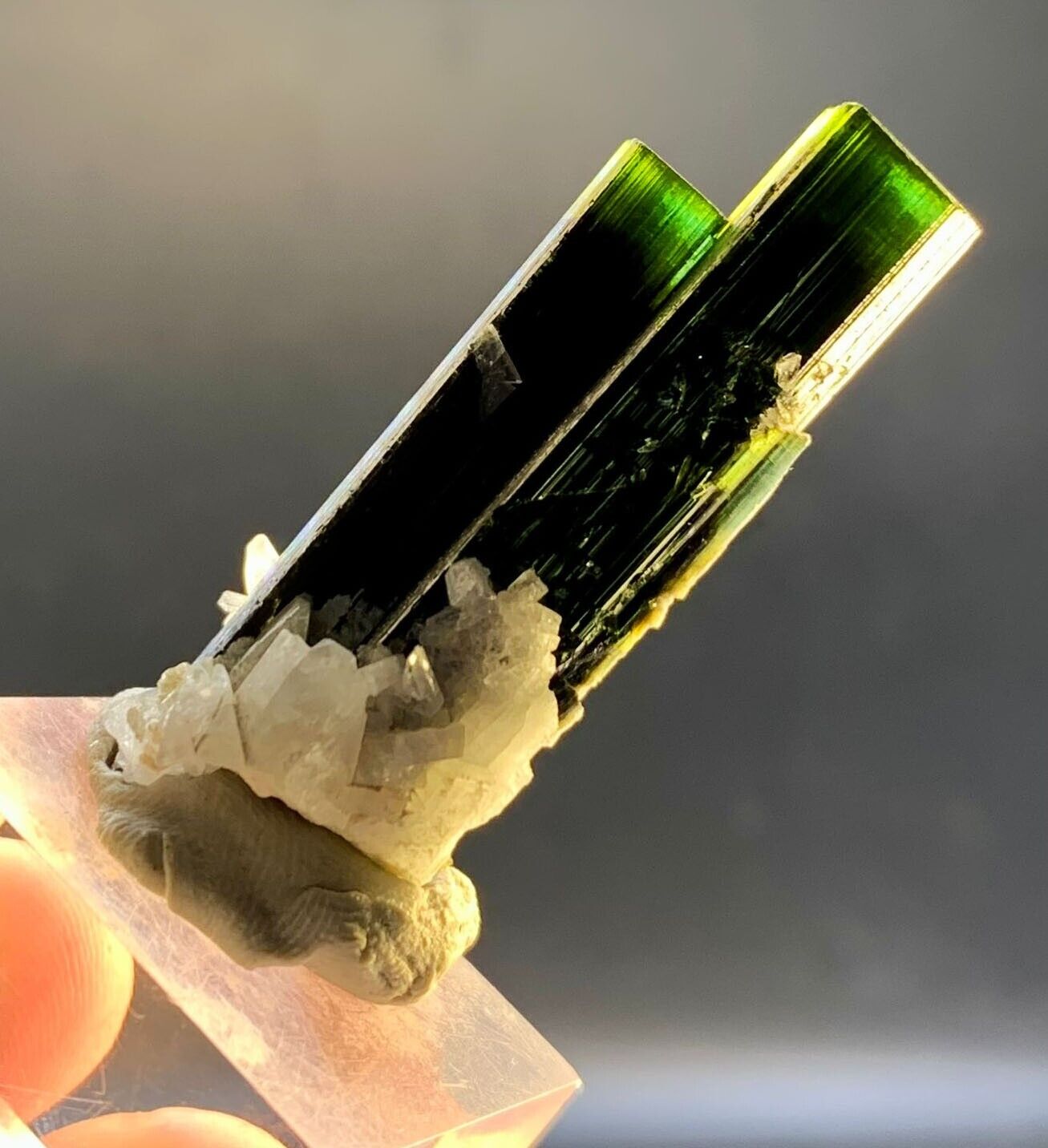 15 Gram. Terminated and undamaged Beautiful Natural Green Cap Tourmaline Crystal