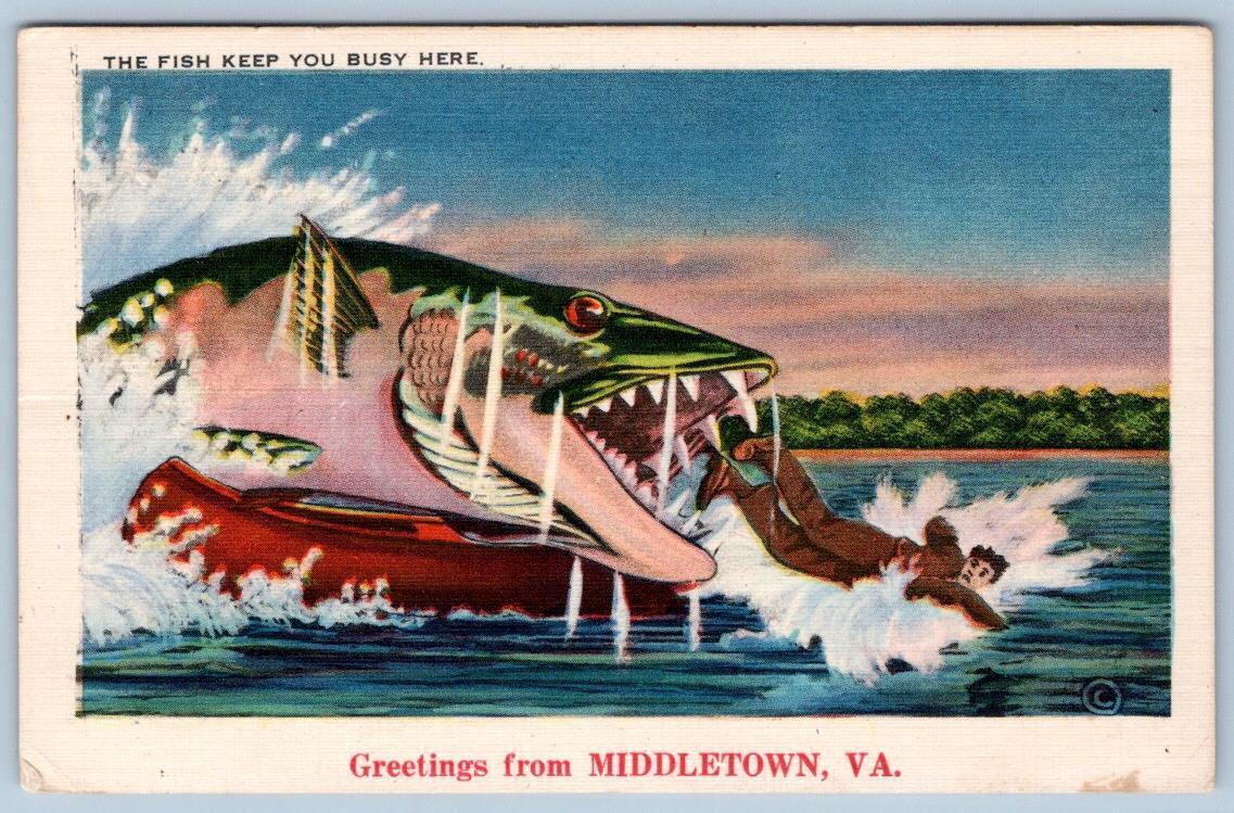 1963 GREETINGS FROM MIDDLETOWN VIRGINIA HUGE FISH HUMOR EXAGGERATED POSTCARD