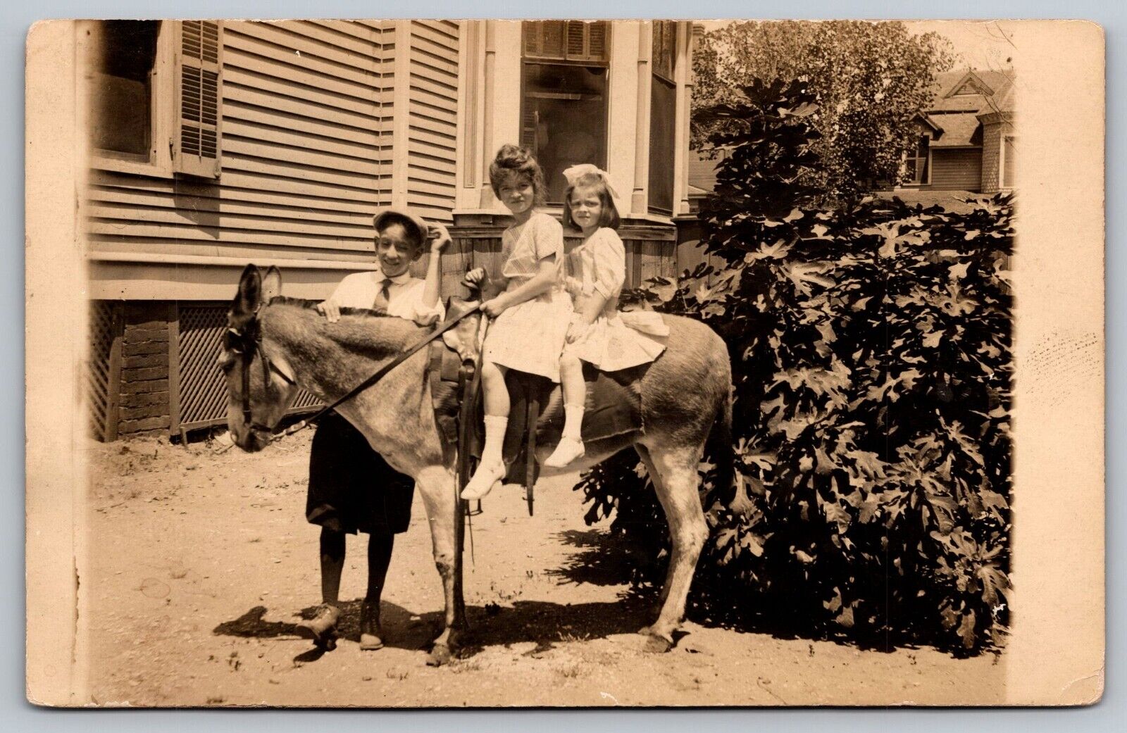 RPPC c1915 Children Posing with Donkey by House A25