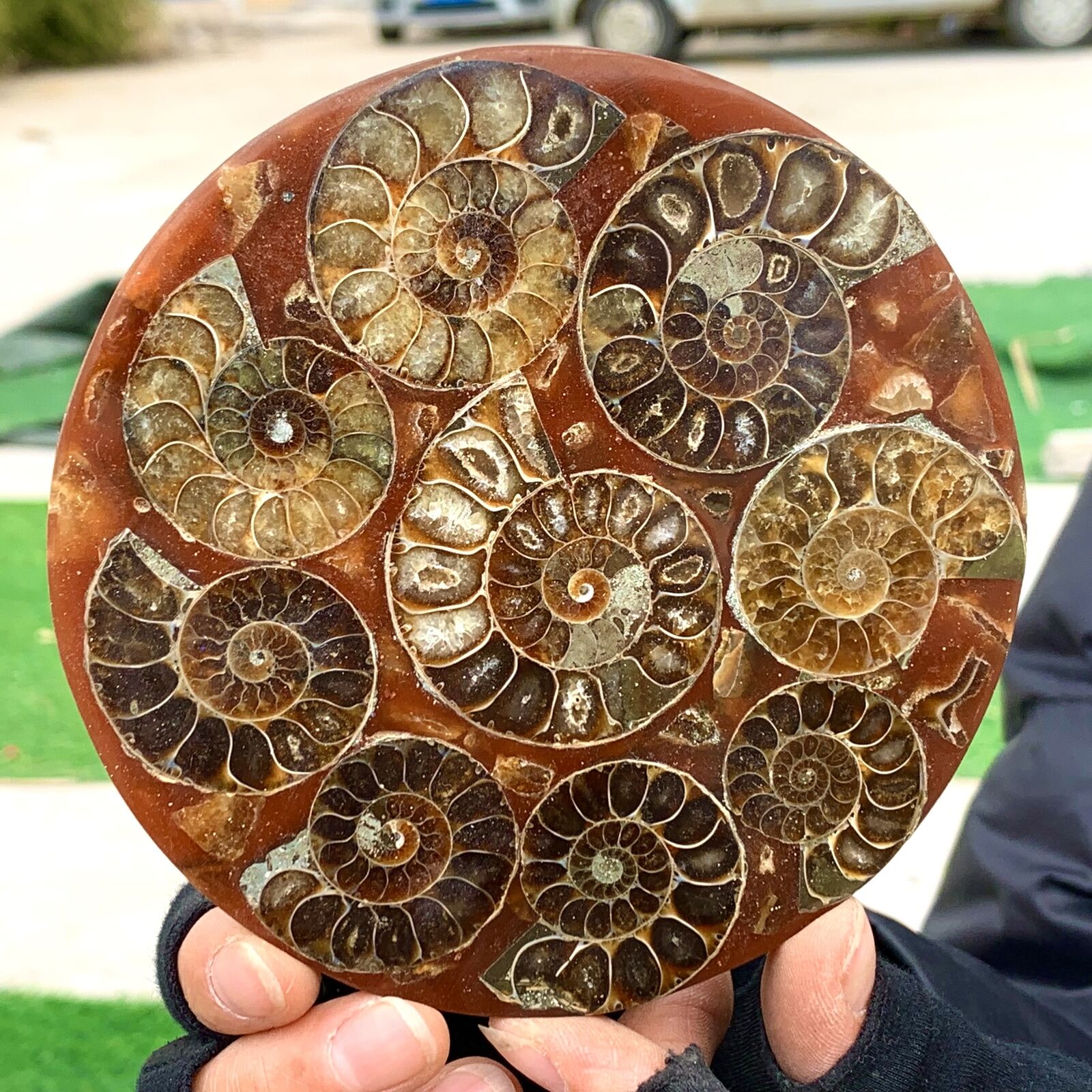 200G Rare Natural Tentacle Ammonite FossilSpecimen Shell Healing Madagascar