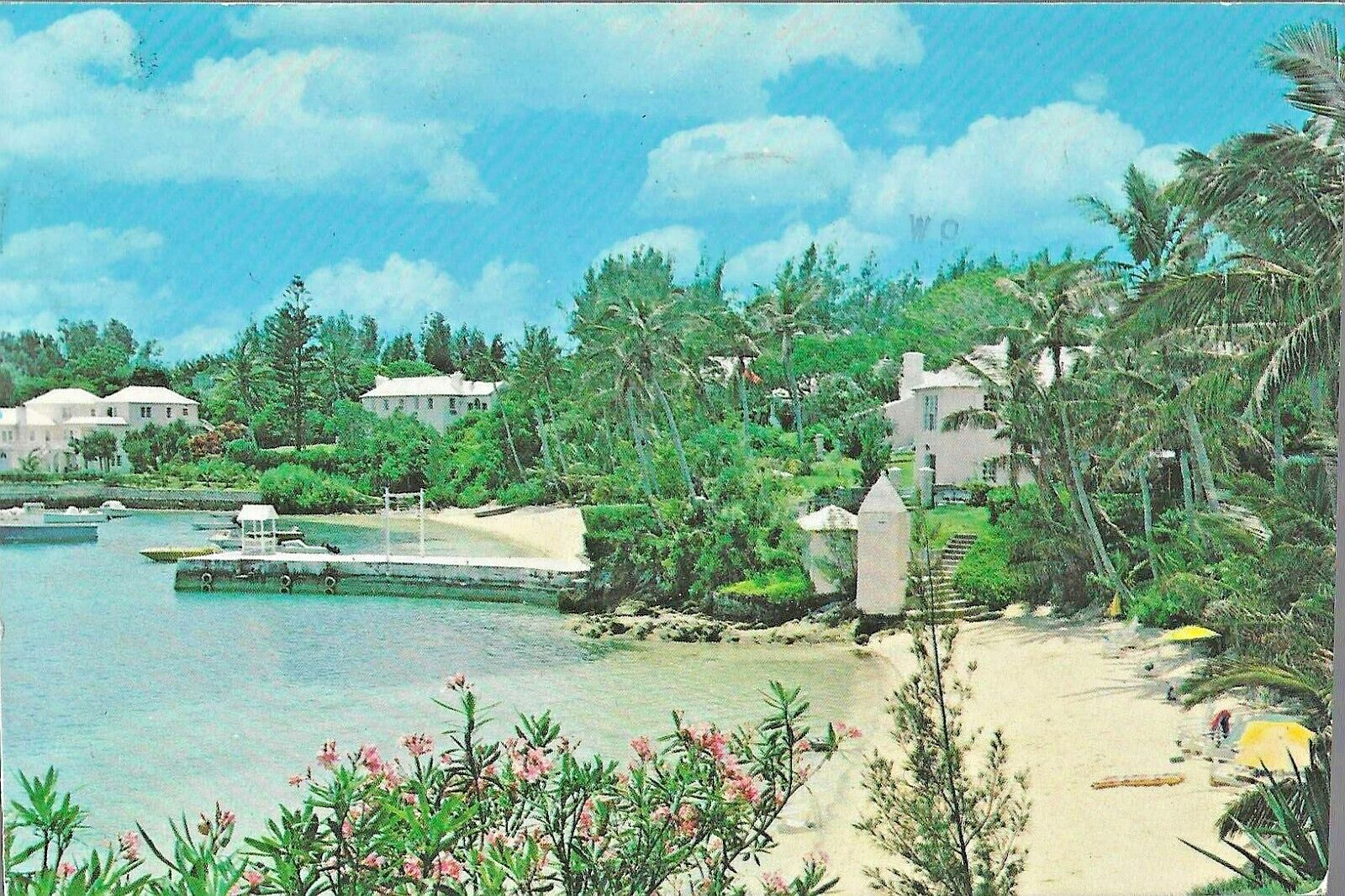 VTG Postcard Cambridge Beaches Mangrove Bay Somerset Bermuda Palm Trees