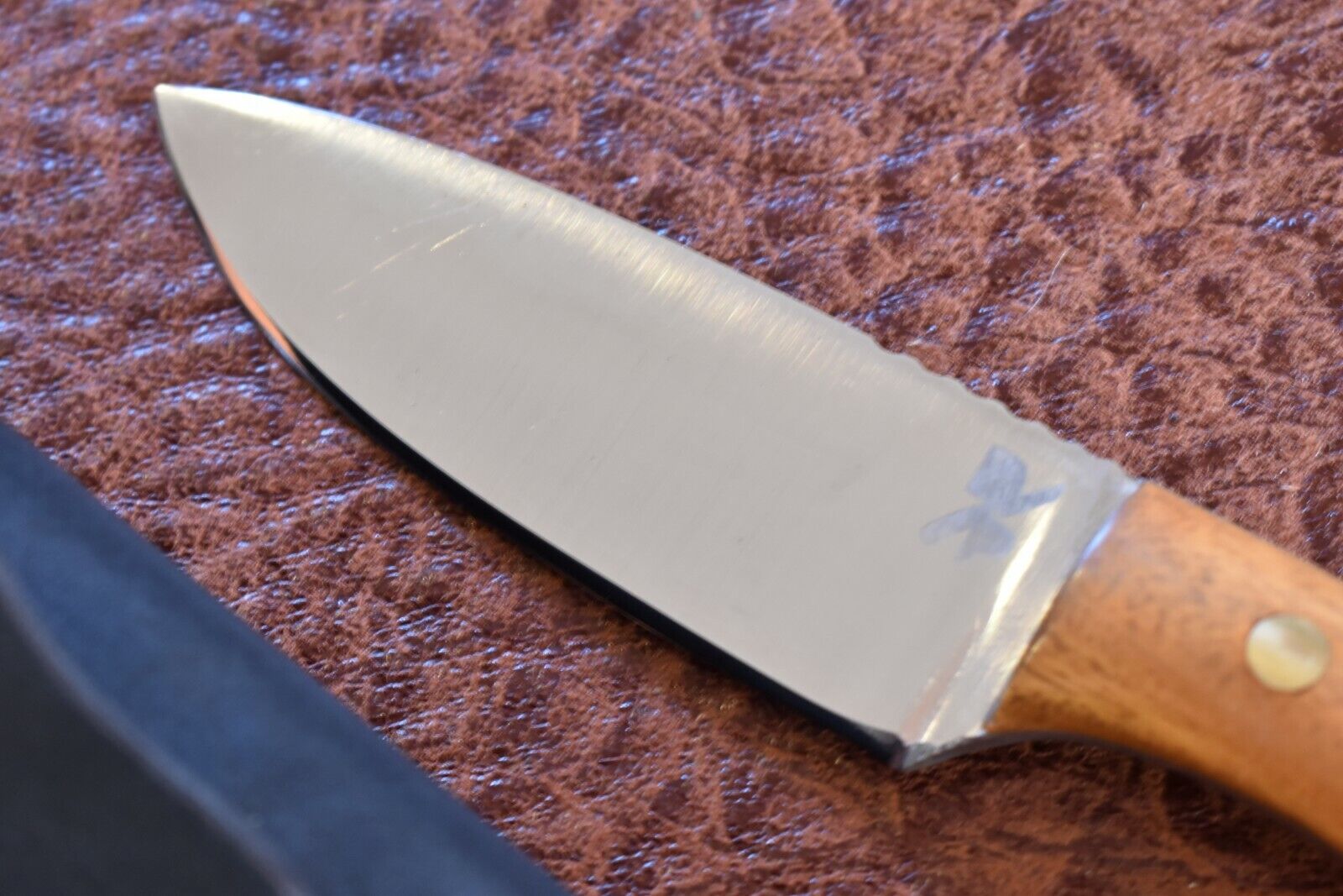 CUSTOM DP? UNKNOWN MAKER WOOD HUNTING SKINNING KNIFE NICE (9844)