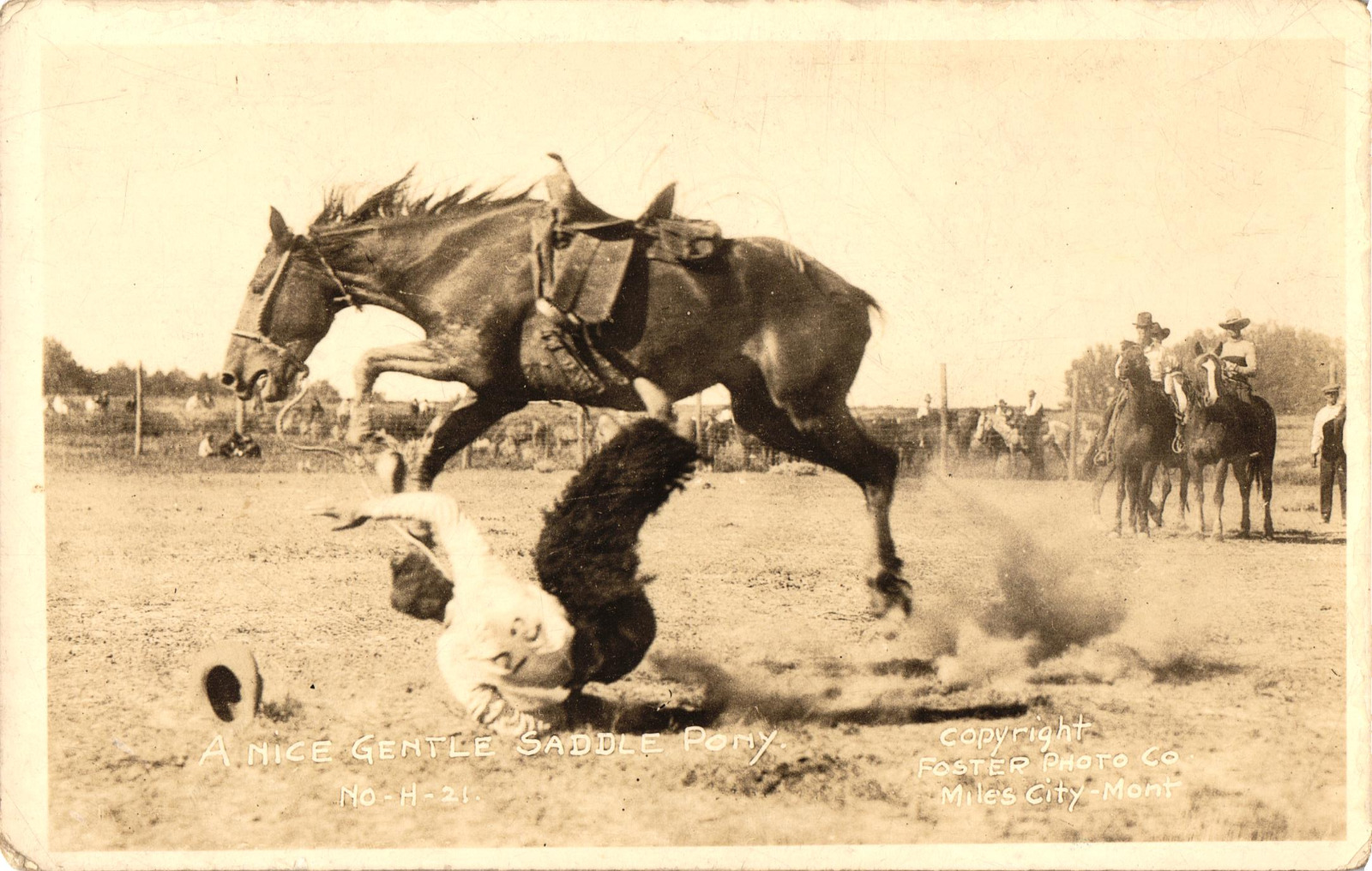 A Nice gentle Saddle Pony Miles City, Montana RPPC Unposted Postcard Rodeo