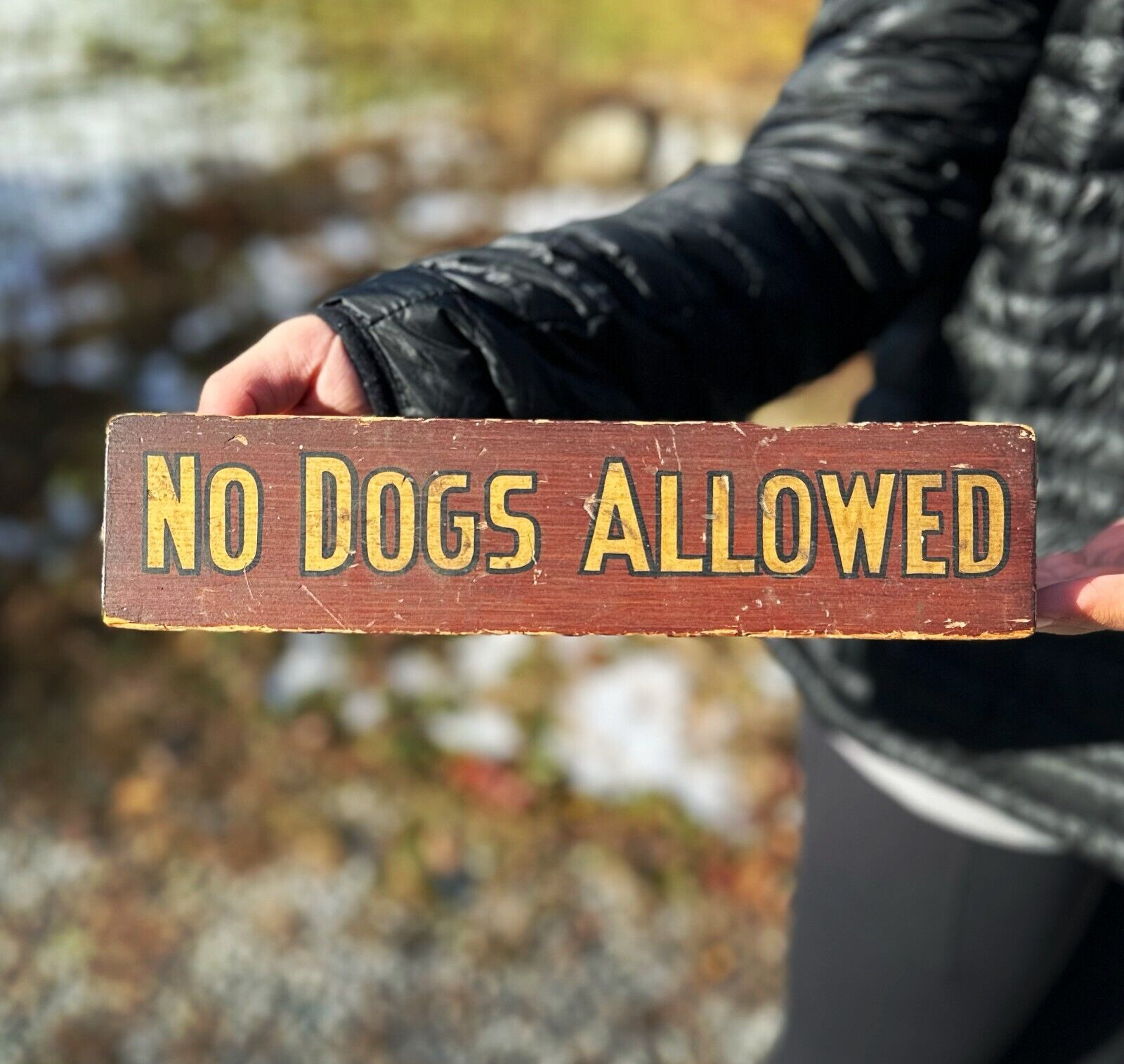 Antique Victorian No Dogs Allowed Hand Painted Wood Countertop Advertising Sign