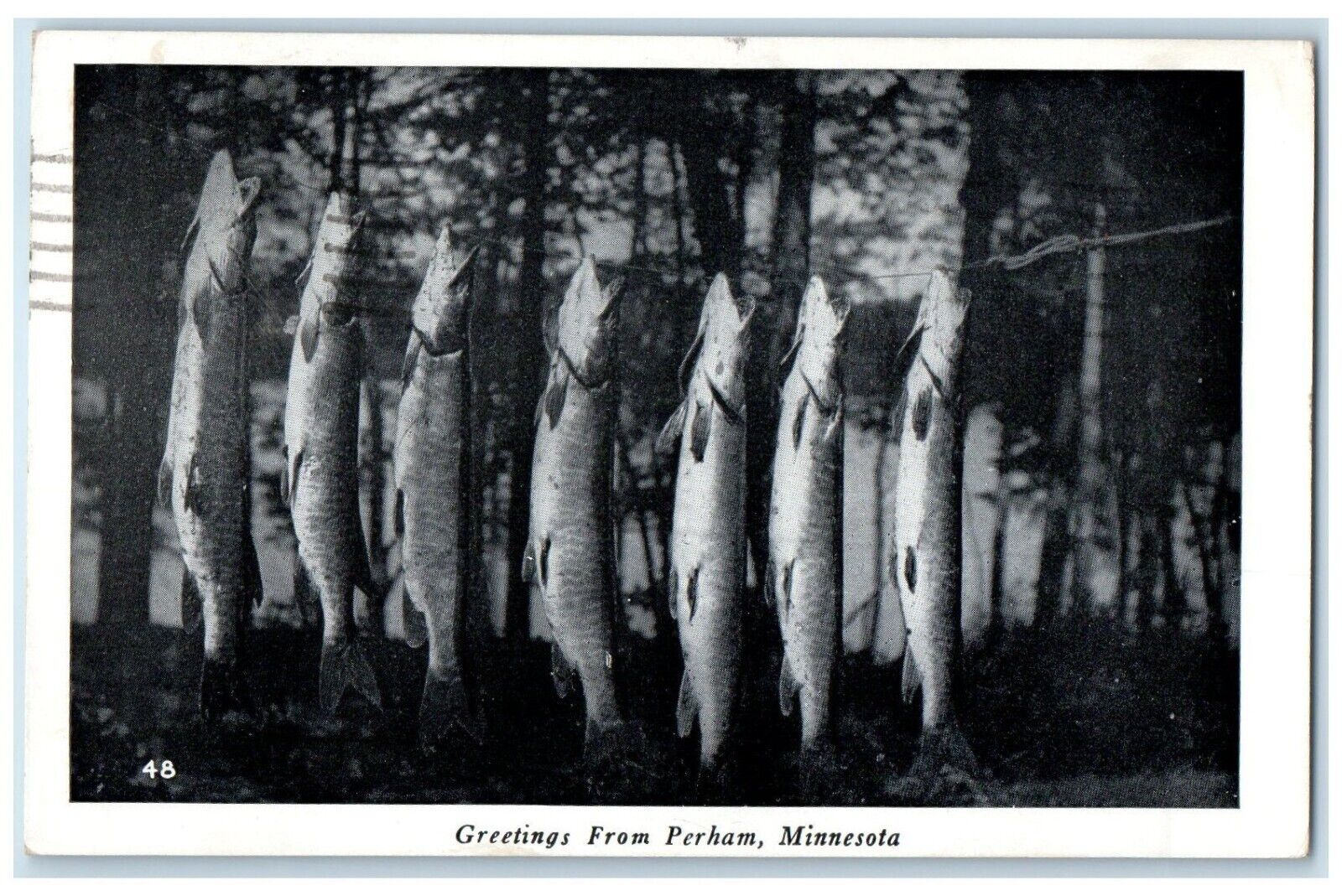 1948 Greetings From Perham Minnesota MN, Fishes Posted Vintage Postcard