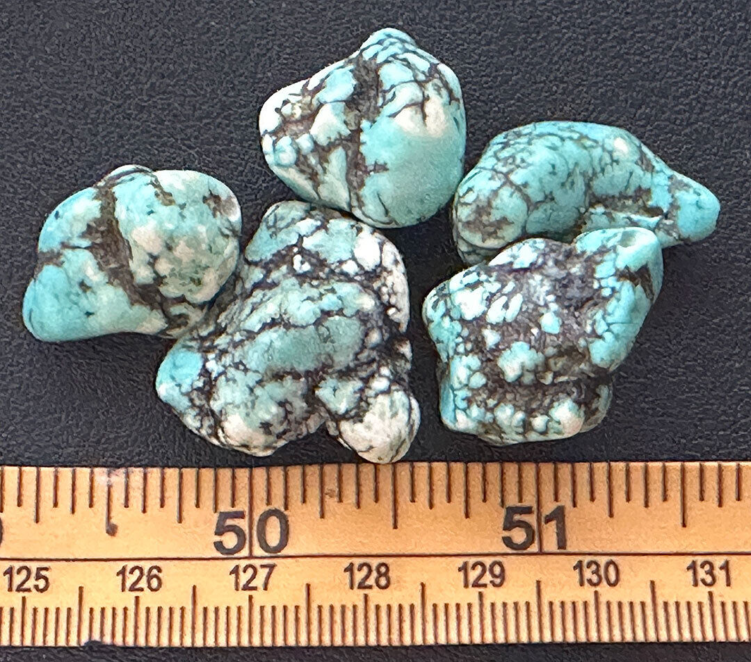 (5) Original Navajo Indian Turquoise Trade Beads Mottled Color Fur Trade 1800's