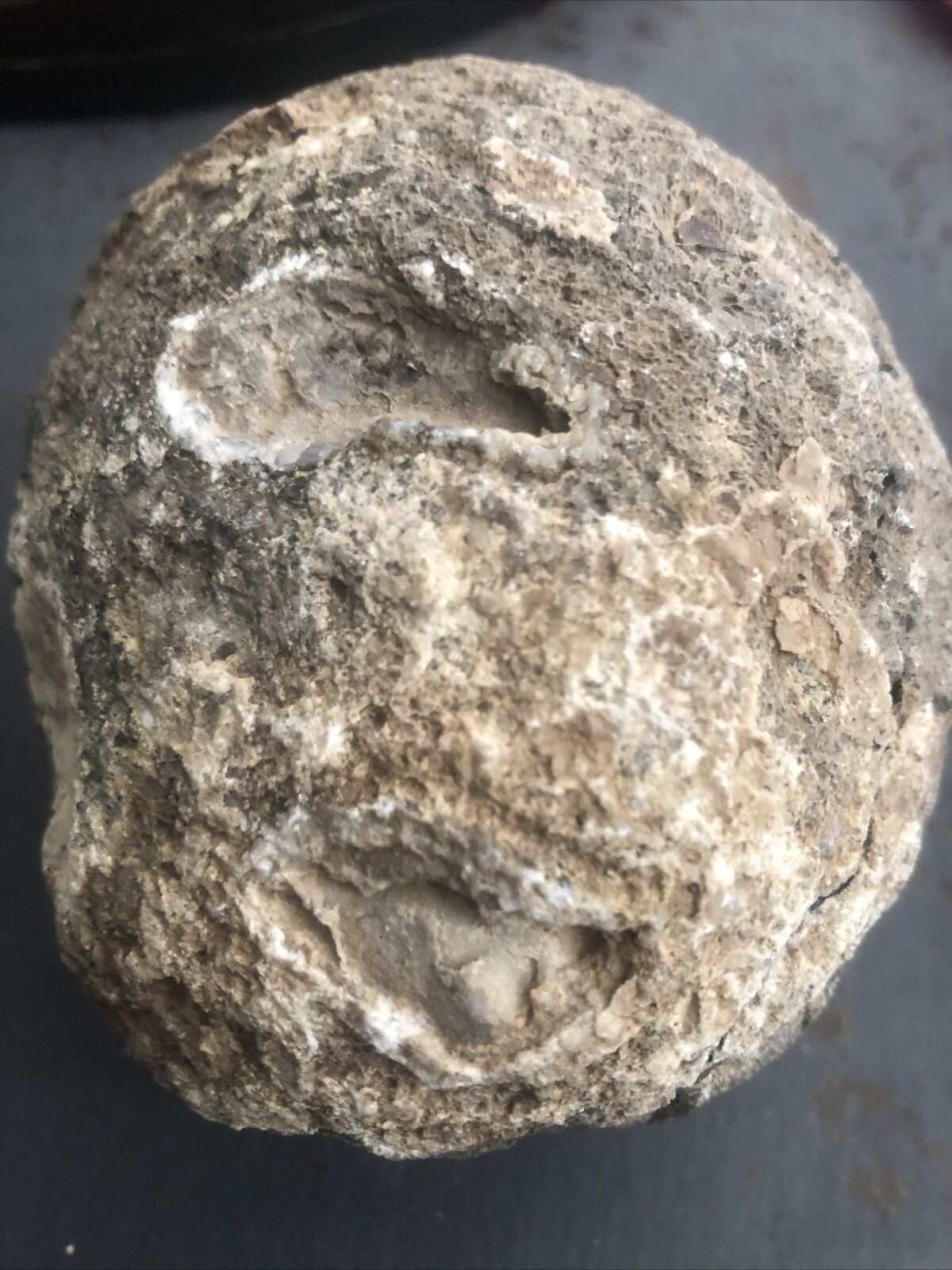 mexican coconut geode 4 Lb Rough