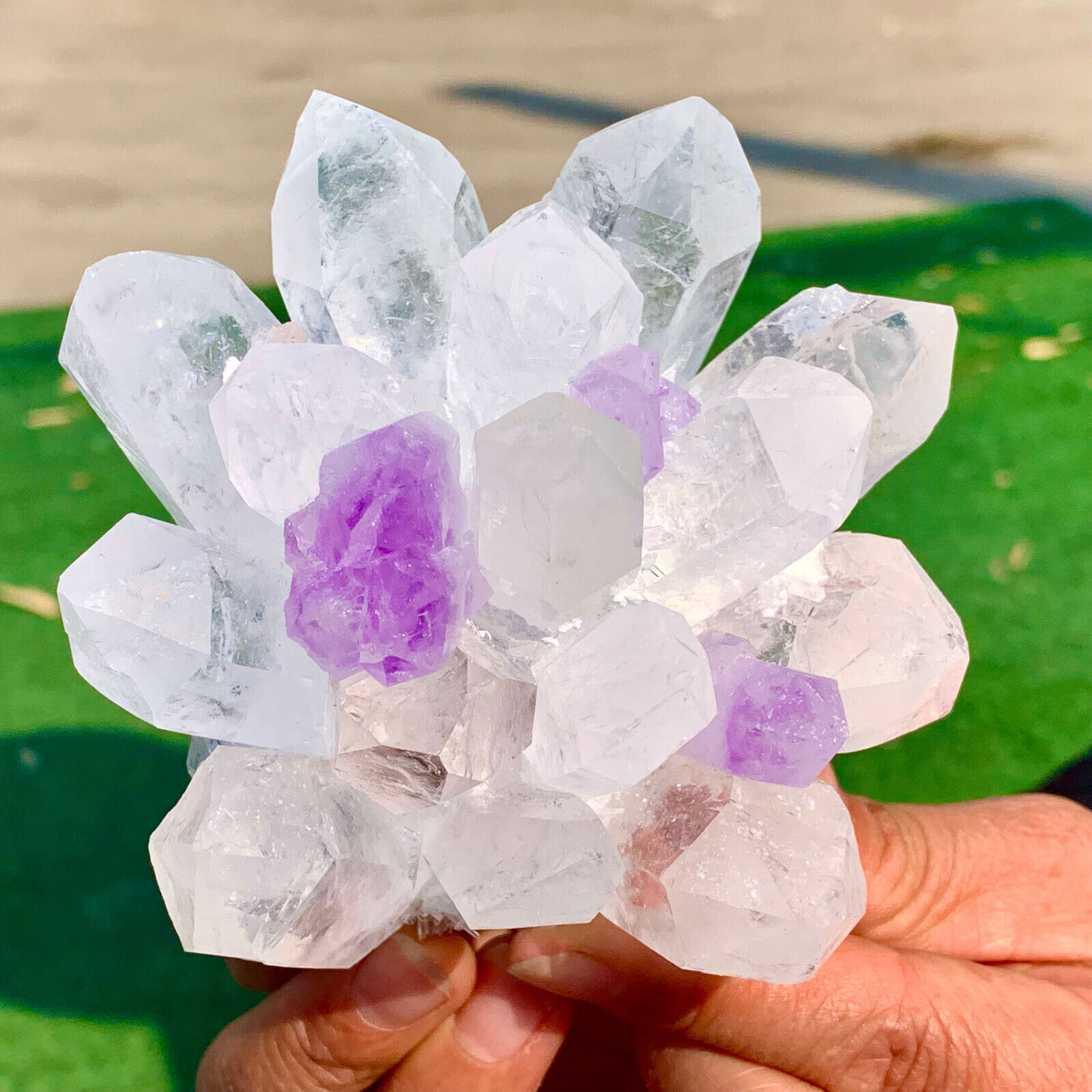 1.32LB New find white + Purple Phantom Quartz Crystal Cluster Minerals