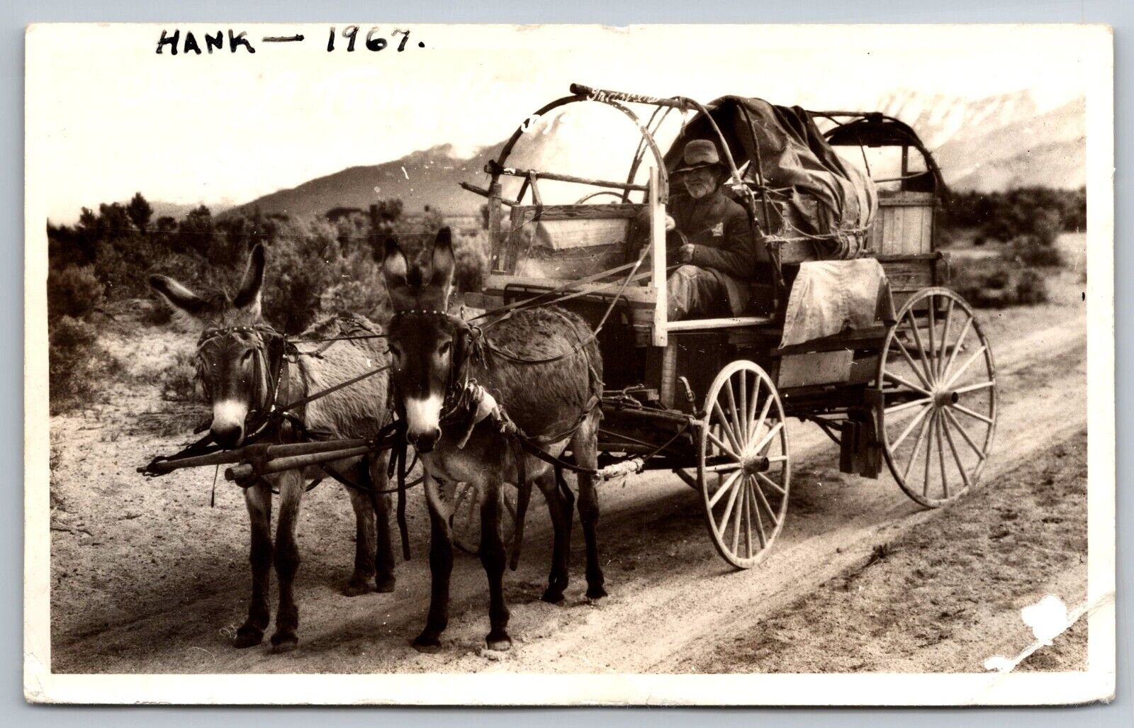 Indio California. Wagon And Donkeys. Real Photo Postcard. RPPC