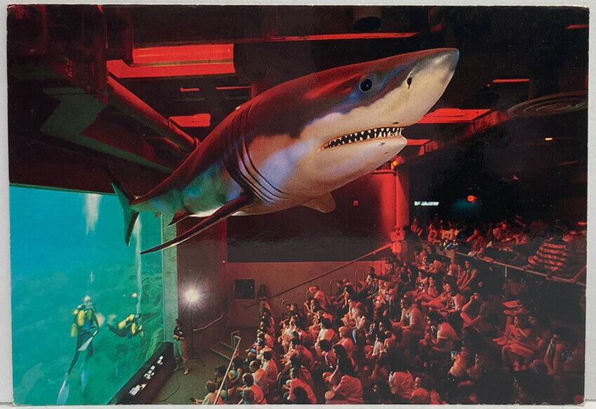 CAMDEN NJ State Aquarium Thomas H Kean Shark Tank Show People Vintage Postcard