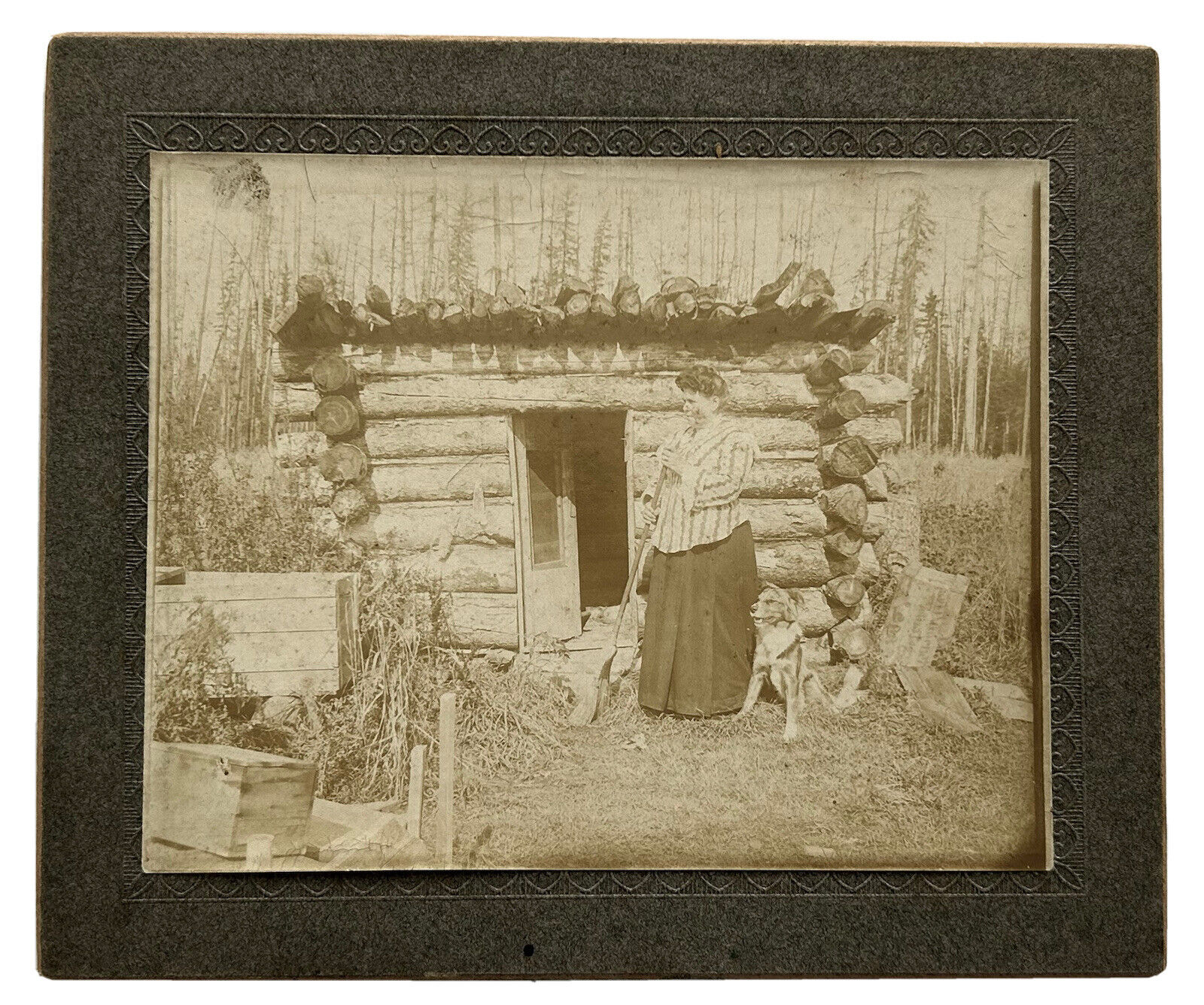 Original Antique Photo Woman and Dog Adirondack Log Cabin Wood Shed circa 1900