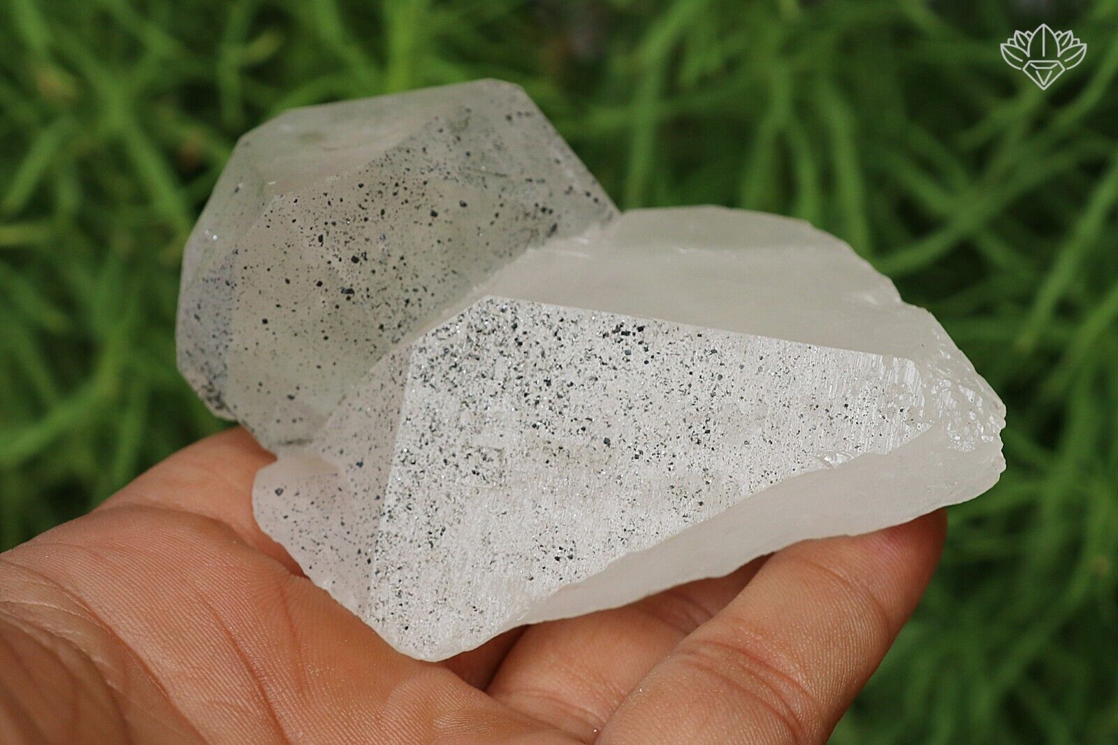 255 gm Green Chlorite Himalayan Crystal Natural Rough Healing Minerals Specimen