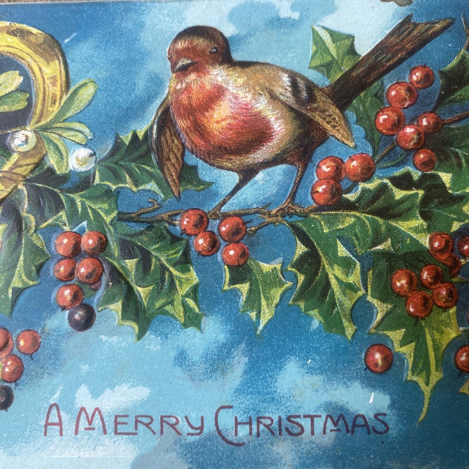 Christmas Antique Embossed Postcard Early 1900s Rare Robin Bird Holly Holiday