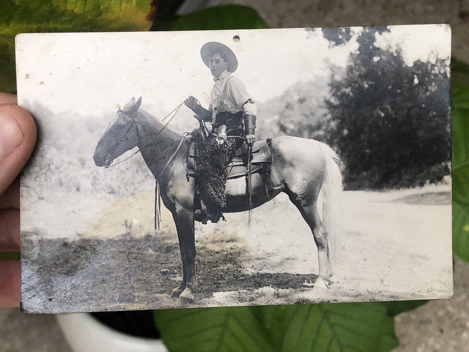 WOW 1914 RPPC POSTCARD COWBOY WITH CHAPS ON HORSE IN LOST HILLS CALIFORNIA