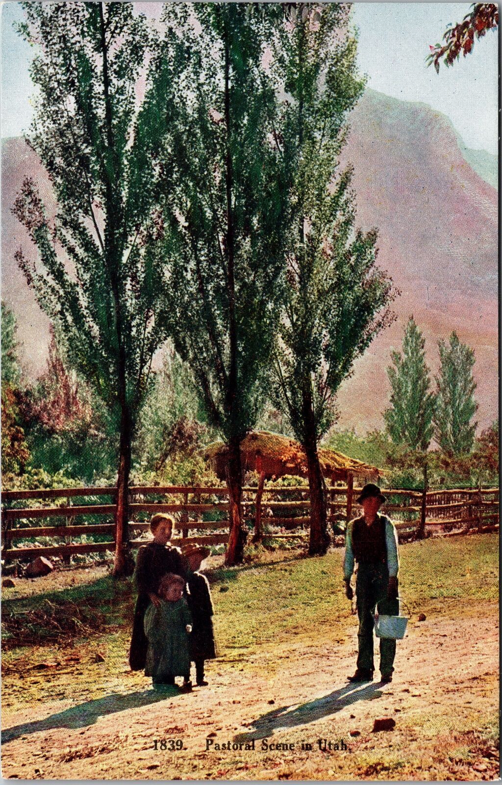 Pastoral Scene In Utah Vintage Souvenir Postcard