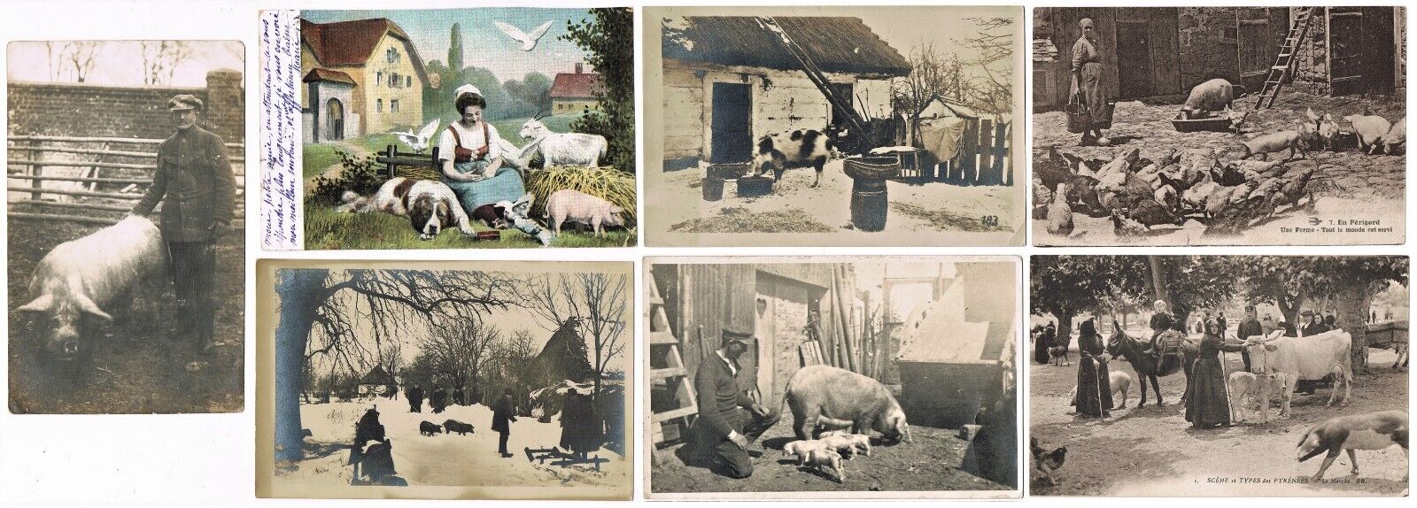 7 old Postcards related to Pigs, mostly French Postcards.