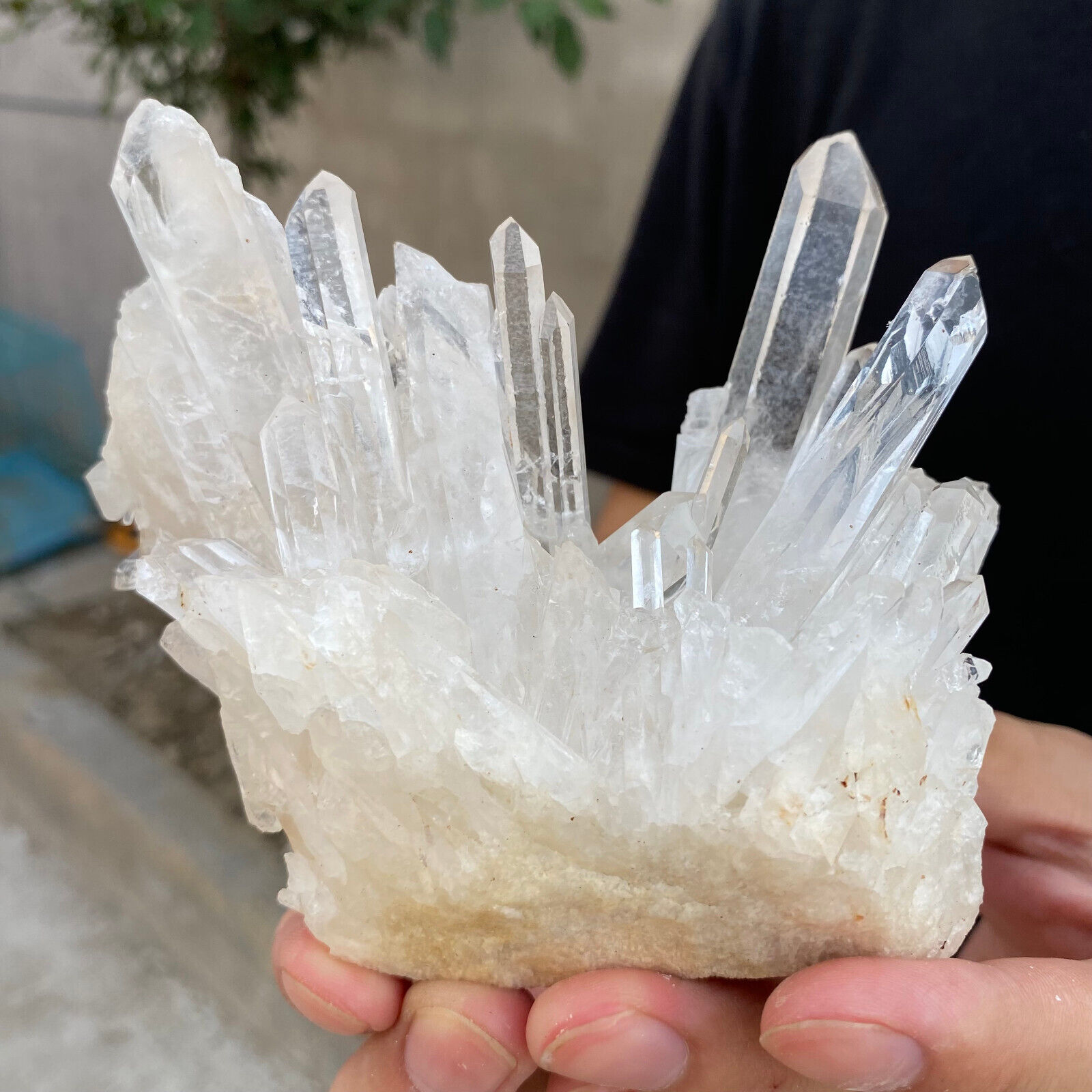 1.1lb Large Natural Clear White Quartz Crystal Cluster Rough Healing Specimen