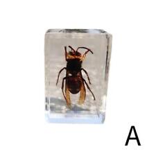 Transparent Resin Amber Insect Specimens Beetle Scorpion Pendant Rectangular picture