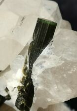 Multiple Green Cap Tourmaline with Terminated Quartz Crystal Specimen 360 Gram picture