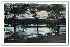 c1920's Moonlight On Pennesseewassee View Lake Norway Maine ME Unposted Postcard picture
