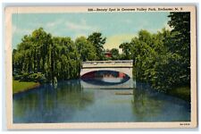 c1940 Beauty Spot Genesee Valley Park Bridge River Rochester New York Postcard picture