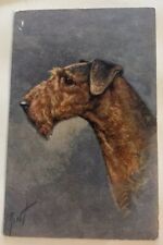 c1910 Postcard Airedale Terrier Stehli J. Rivst Artist Signed Switzerland picture