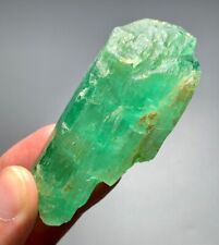 334 Carat Hiddenite Kunzite Crystal from Afghanistan picture