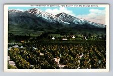 Los Angeles CA-California, Old Baldy From The Orange Groves, Vintage Postcard picture