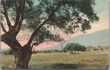 1908 MONROVIA, California Hand-Colored Postcard 