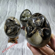 Natural dragon septarian quartz egg Sphere crystal ball healing random +STAND picture