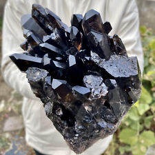 2.79LB Natural Smoky Black Quartz Cluster Crystal Specimen Healing Reiki picture