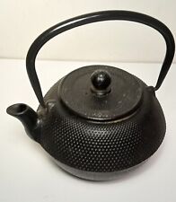 Vtg Tetsubin Japanese Cast Iron Teapot Tea Kettle with Stainless Steel Infuser. picture