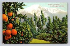 Postcard CA California Scenic Mountain View With Oranges picture