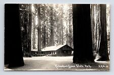 RPPC Richardson Grove State Park Cabin Giant Redwood Trees California Postcard picture