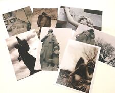 Lot Of Original Cemetry Photographs picture
