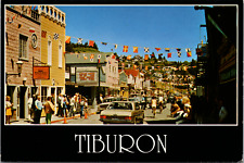 Tiburon CA c1970's Town St. Bicycles Movie Theater Way We Were Marquee Flags picture