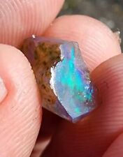 Virgin Valley Opal Nevada Opal AAA Wood Replacement  picture