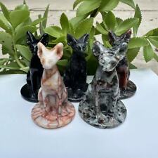 5pcs Natural Mixed Hairless Cat Quartz Crystal Skull Carved Figurines Reiki 2