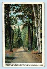 The Kaibab President's Forest Northern Arizona  Union Pacific System Postcard A9 picture